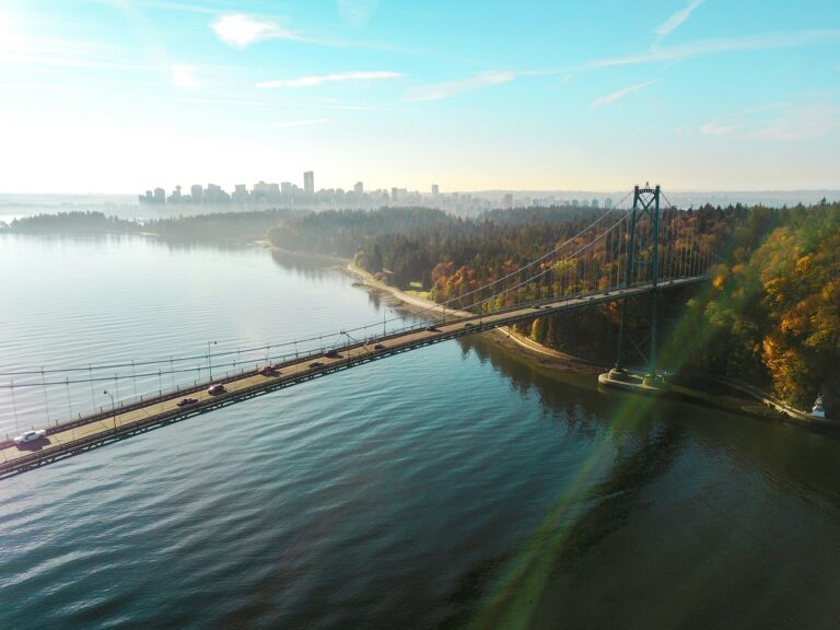 Web Designer Langley BC